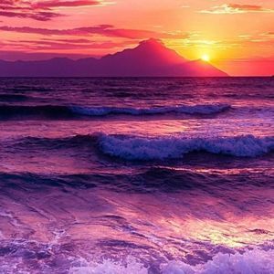 Meet your Posher, Destiny